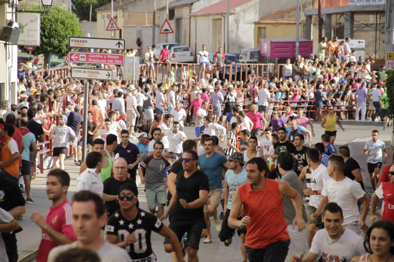 Encierro vespertino de Peñafiel