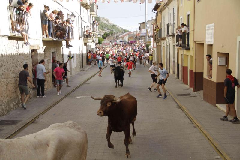 Encierro vespertino de Peñafiel