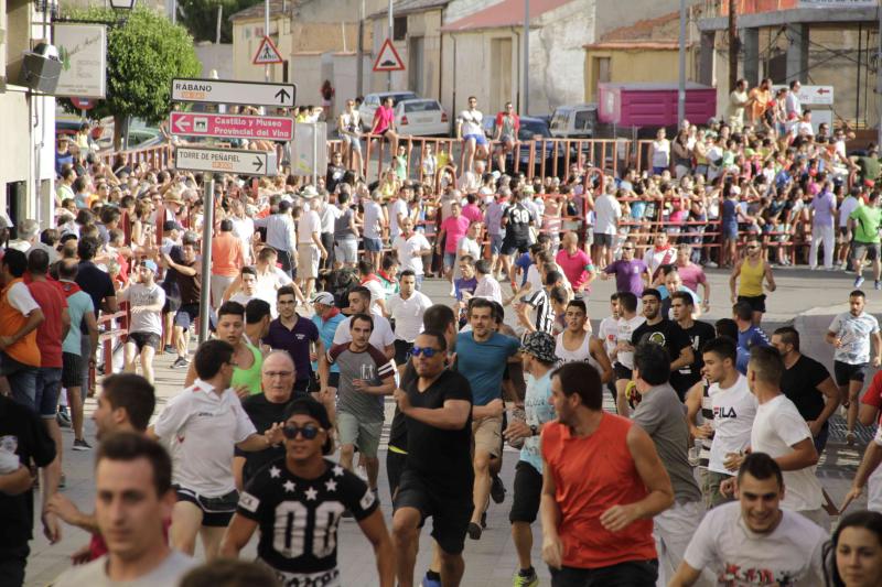 Encierro vespertino de Peñafiel