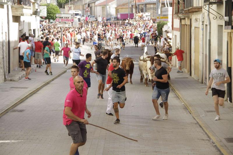 Encierro vespertino de Peñafiel