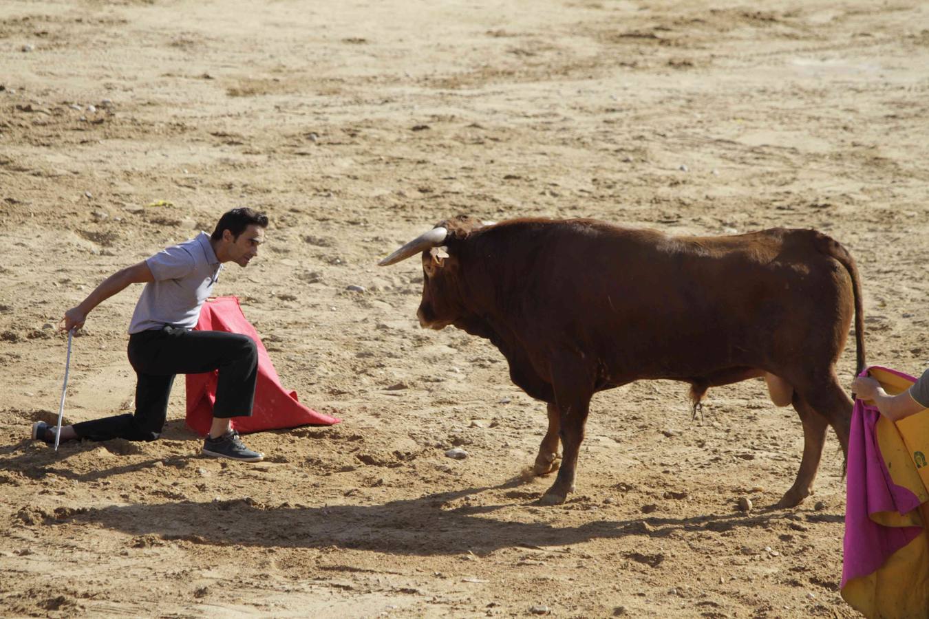 Encierro y posterior capea de las fiestas de Peñafiel