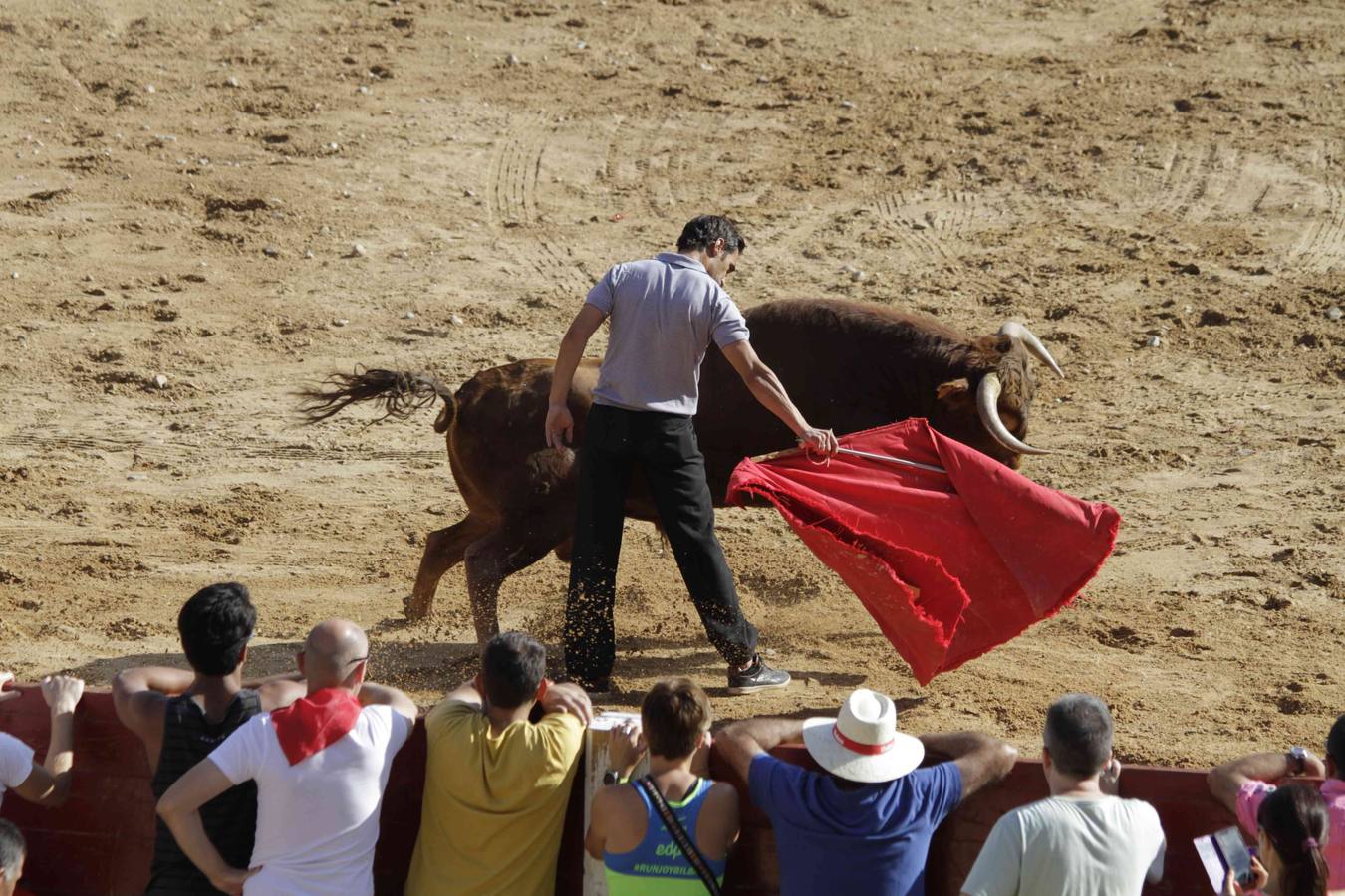 Encierro y posterior capea de las fiestas de Peñafiel