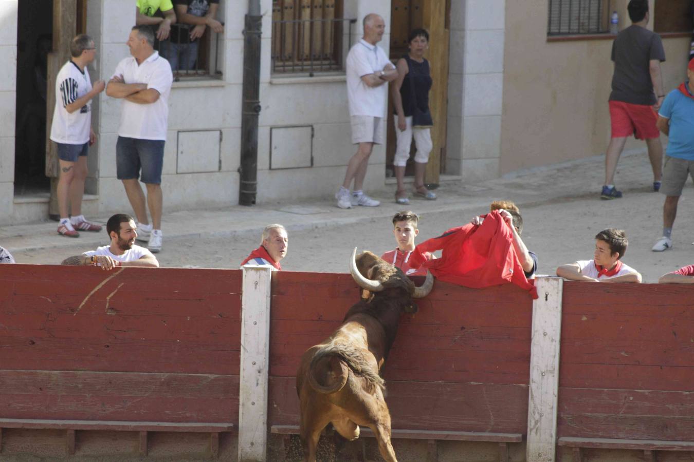 Encierro y posterior capea de las fiestas de Peñafiel