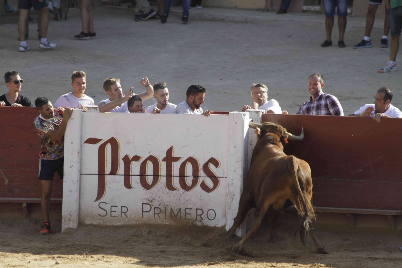 Encierro y posterior capea de las fiestas de Peñafiel