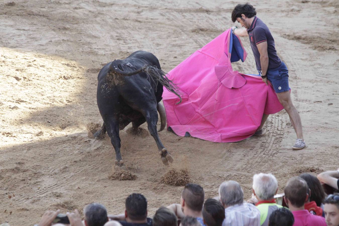 Encierro y posterior capea de las fiestas de Peñafiel