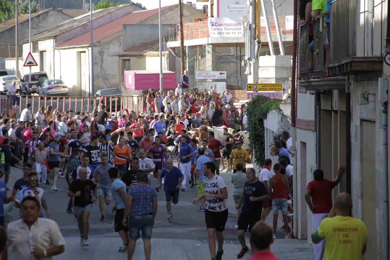 Encierro y posterior capea de las fiestas de Peñafiel