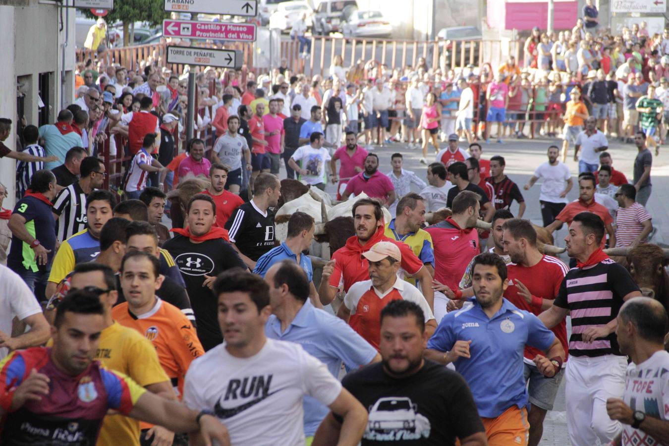 Encierro y posterior capea de las fiestas de Peñafiel