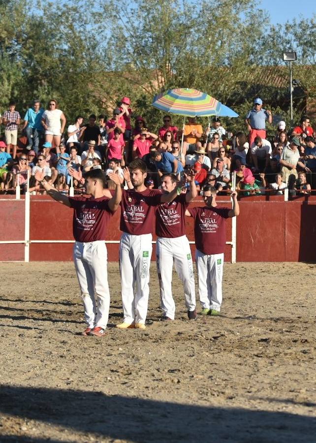 Concurso de Cortes en Aldeamayor de San Martín