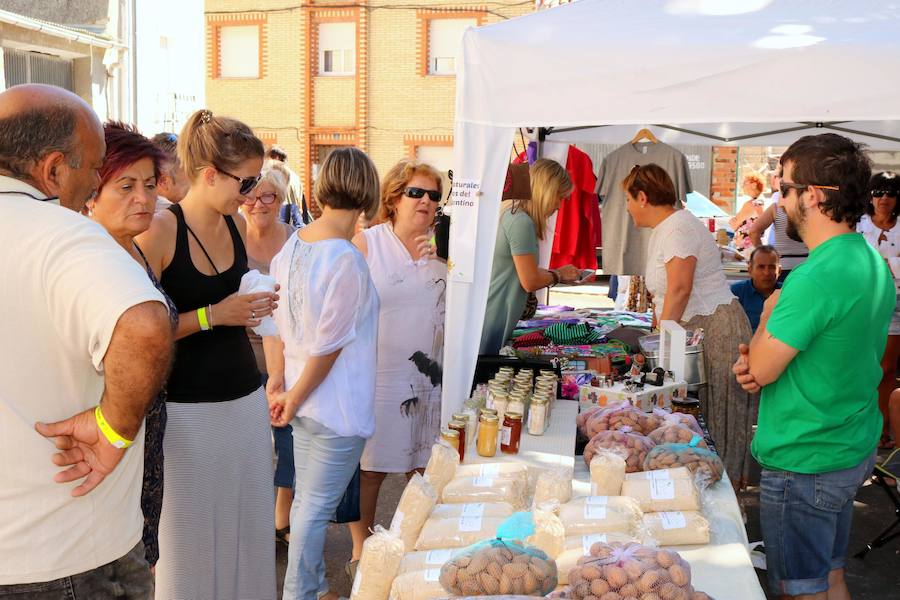 Mercado de Artesanía en Cevico Navero