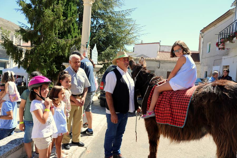 Mercado de Artesanía en Cevico Navero