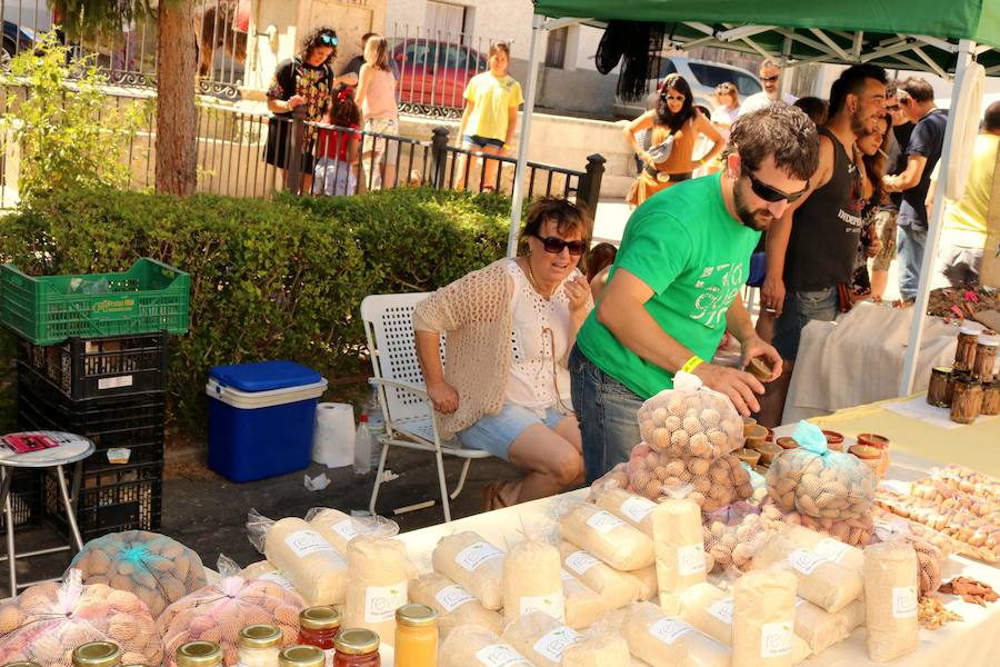 Mercado de Artesanía en Cevico Navero