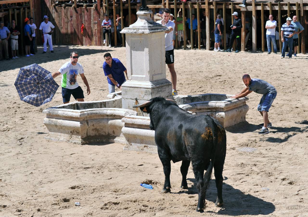 Encierro del lunes en Serrada