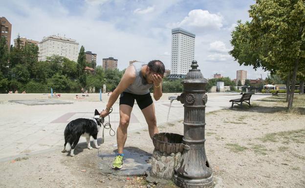 Un hombre se refresca junto a su perro en la Playa de las Moreras en Valladolid