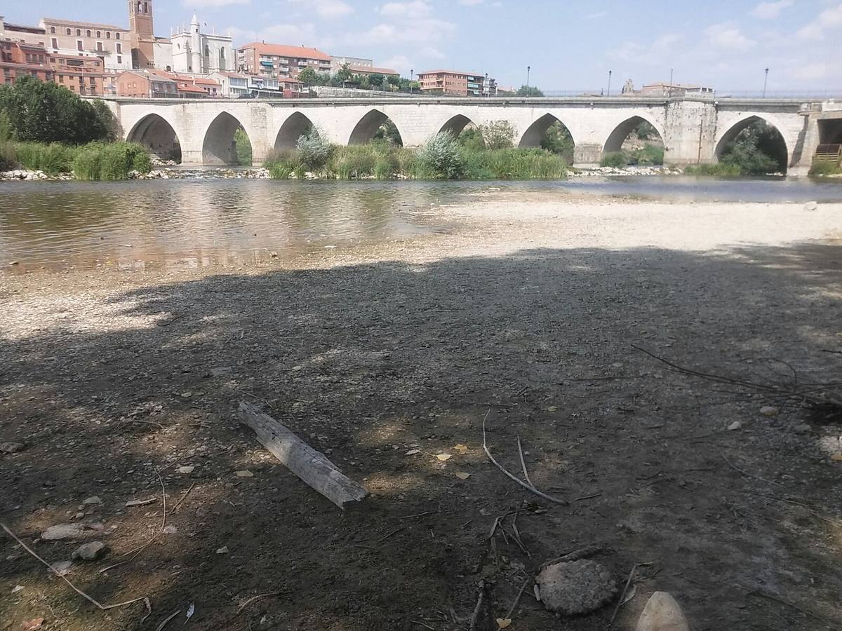 Tordesillas (Valladolid).