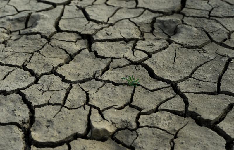 La sequía en Barrios de Luna, León