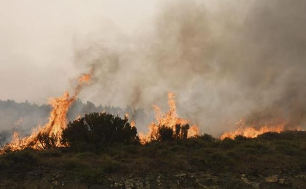 Las llamas avanzan por el matorral en el incendio forestal en Encinedo (León), en la comarca de La Cabrera, 