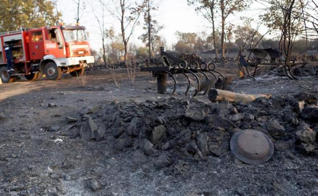 Explotación ganadera de vacuno afectada por el incendio forestal en la localidad zamorana de Figueruela de Arriba