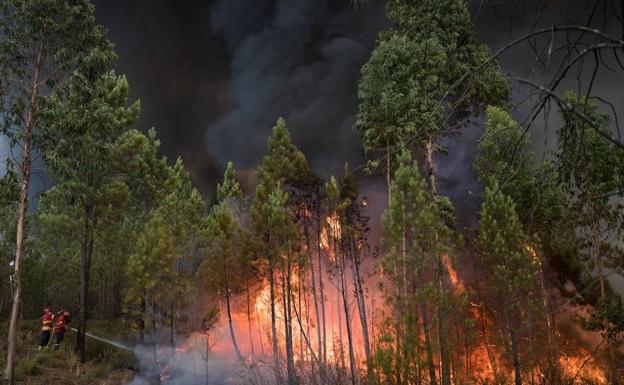 Un bombero trata de apagar un incendio forestal