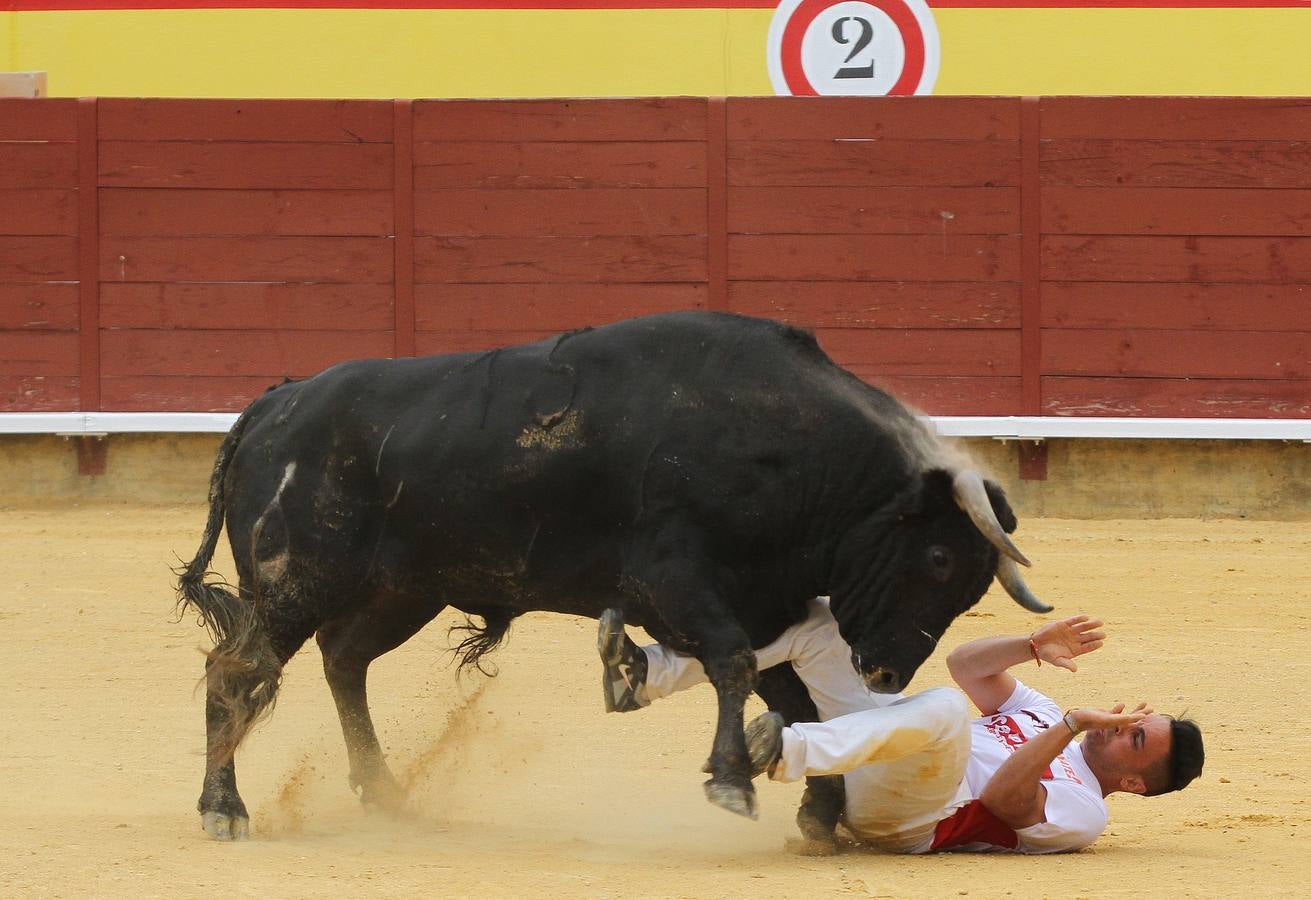 Campeonato Nacional de Recortadores de Palencia