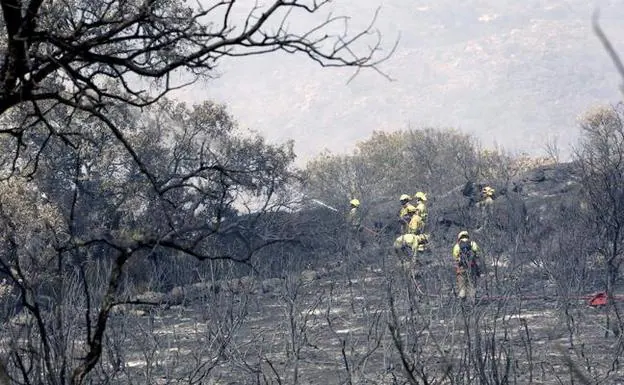 Una cuadrilla medioambiental realiza labores de extinción en el incendio forestal declarado ayer en la localidad zamorana de Fermoselle