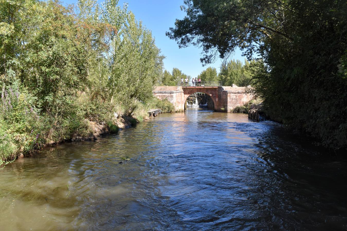 La propuesta se ha tenido que limitar al barco Marqués de la Ensenada, de Herrera de Pisuerga, debido al escaso caudal en Villaumbrales