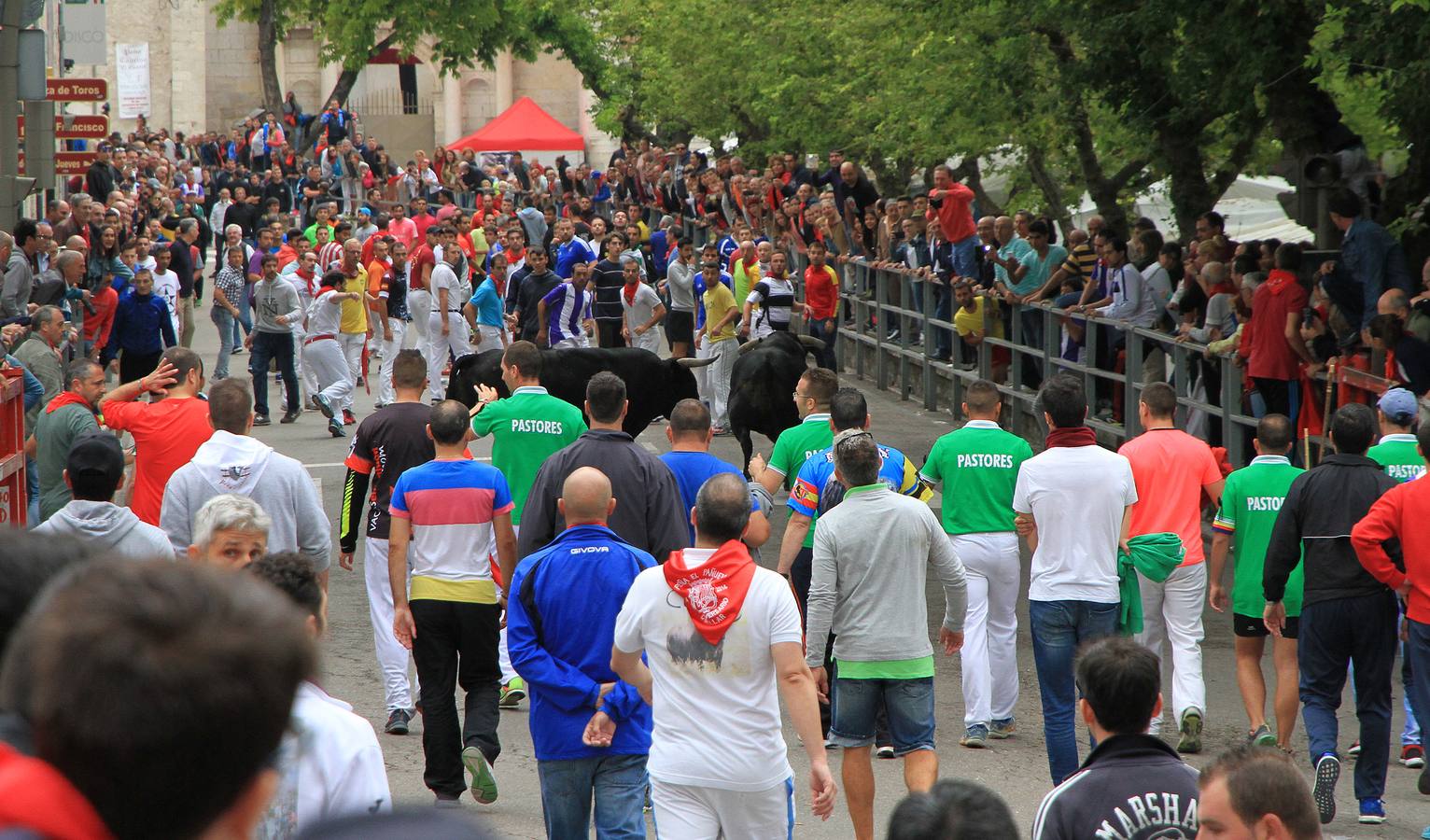 Únicamente tres astados han podido llegar al recorrido urbano y completar la carrera en el que cuatro personas han resultado heridas, dos de ellos por asta de toro y otros dos con contusiones