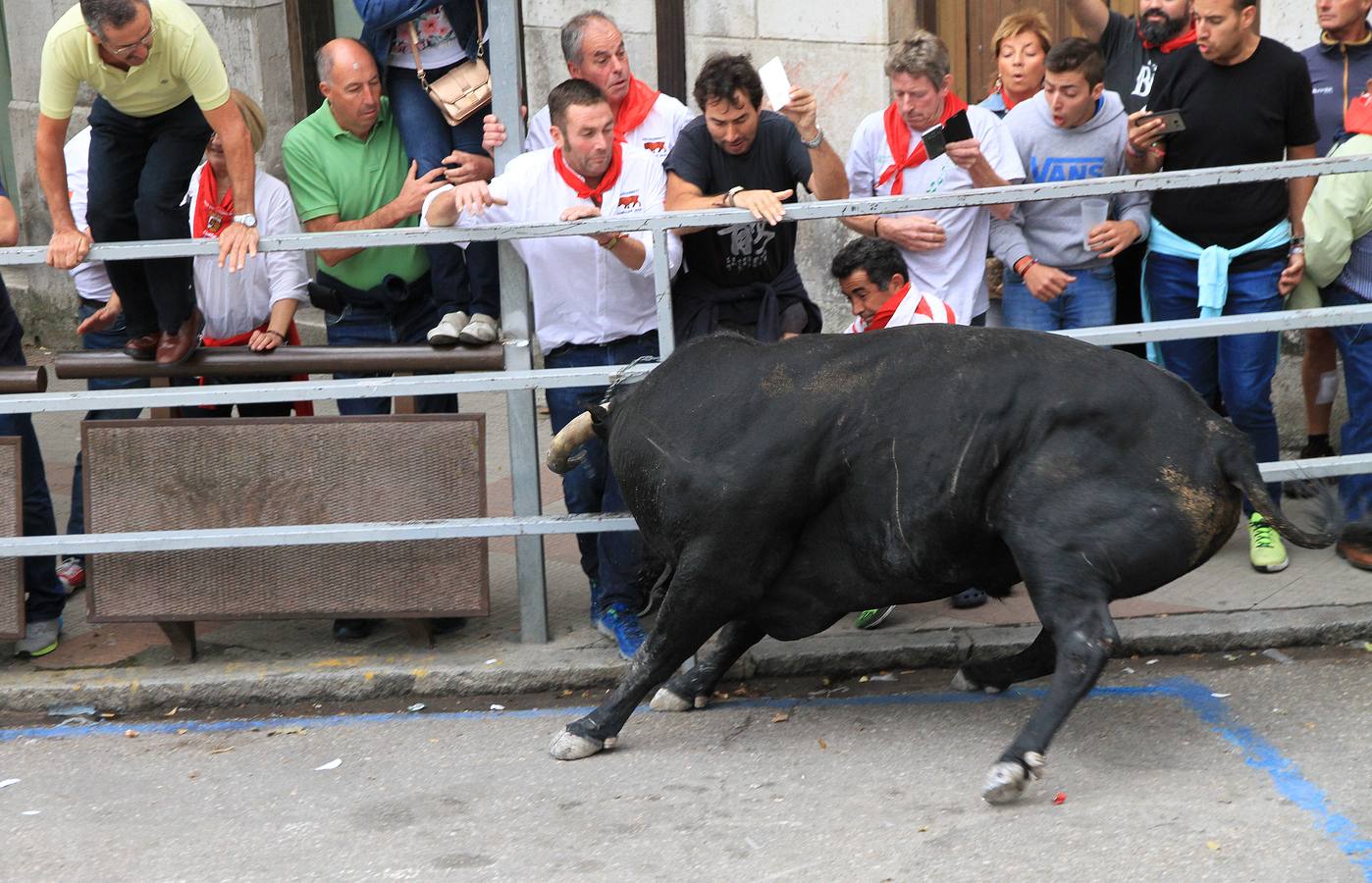 Únicamente tres astados han podido llegar al recorrido urbano y completar la carrera en el que cuatro personas han resultado heridas, dos de ellos por asta de toro y otros dos con contusiones