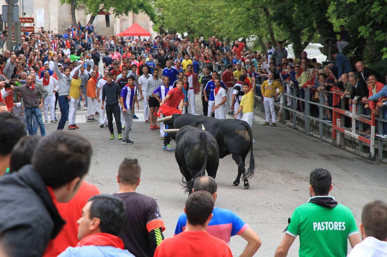 Únicamente tres astados han podido llegar al recorrido urbano y completar la carrera en el que cuatro personas han resultado heridas, dos de ellos por asta de toro y otros dos con contusiones