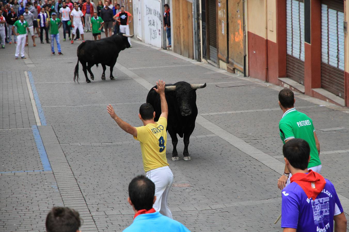 Únicamente tres astados han podido llegar al recorrido urbano y completar la carrera en el que cuatro personas han resultado heridas, dos de ellos por asta de toro y otros dos con contusiones