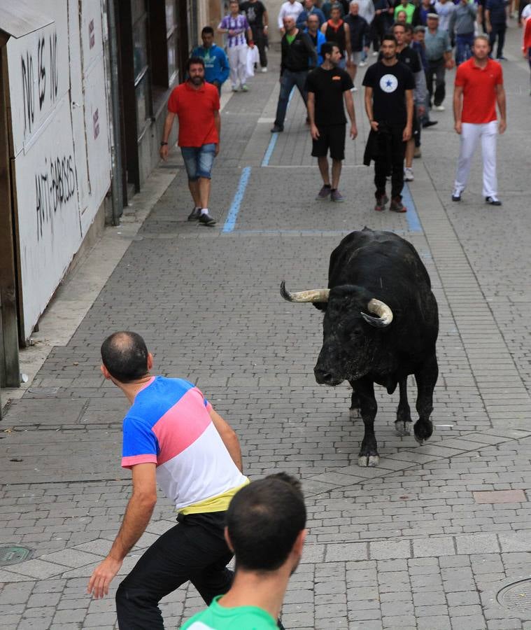 Únicamente tres astados han podido llegar al recorrido urbano y completar la carrera en el que cuatro personas han resultado heridas, dos de ellos por asta de toro y otros dos con contusiones