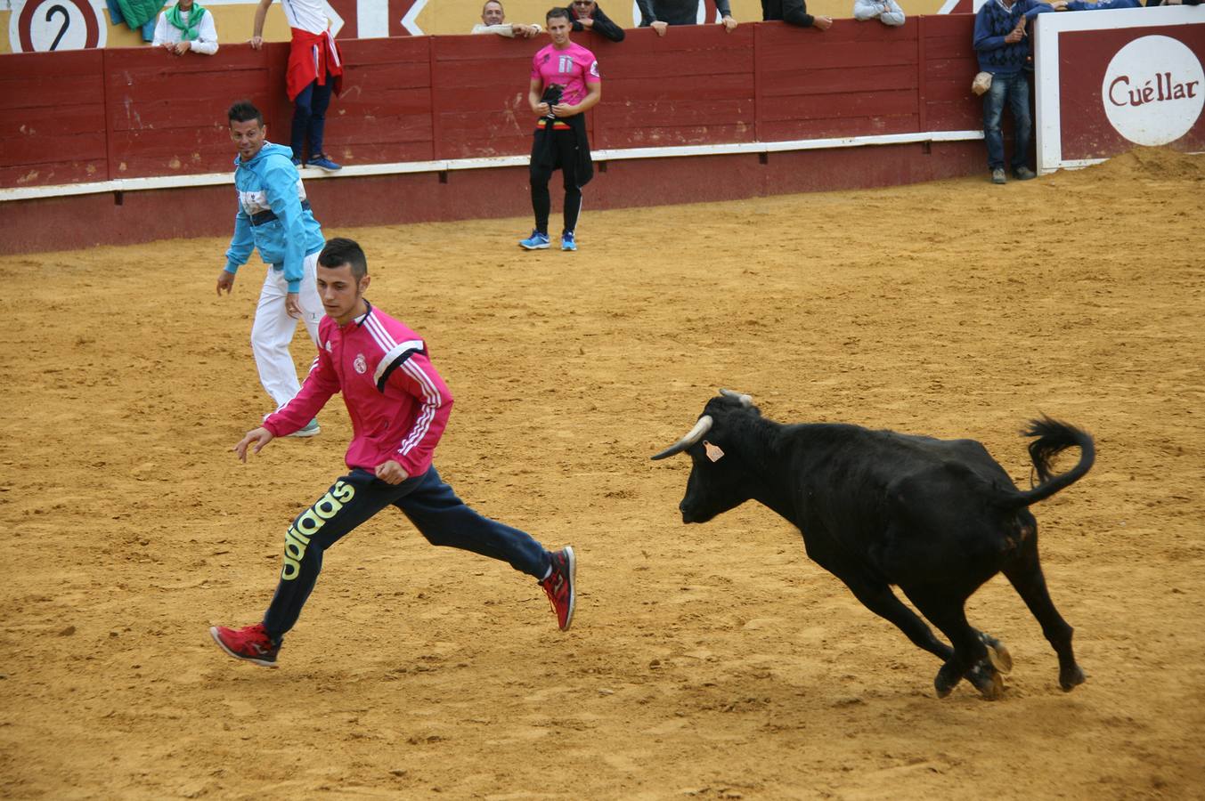 Encierros del Chupete, de Promoción y juegos de toros acercan a los más pequeños a iniciarse en el mundo de la tauromaquia