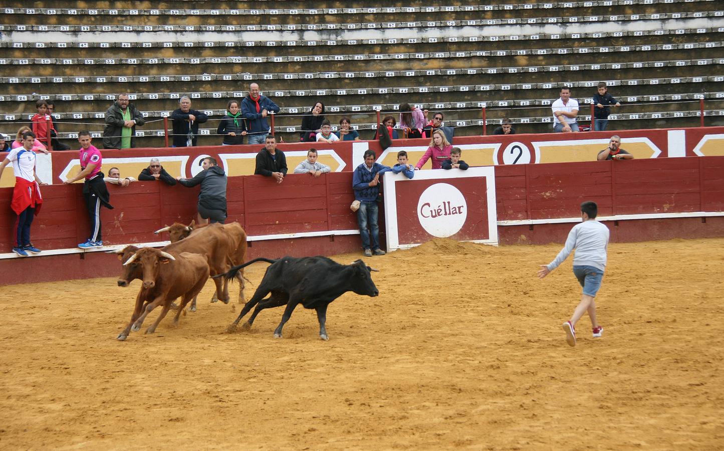 Encierros del Chupete, de Promoción y juegos de toros acercan a los más pequeños a iniciarse en el mundo de la tauromaquia