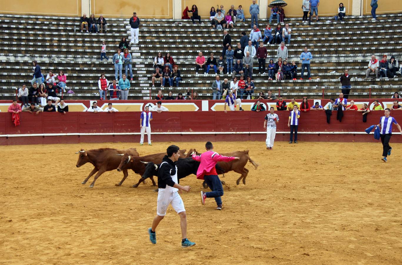 Encierros del Chupete, de Promoción y juegos de toros acercan a los más pequeños a iniciarse en el mundo de la tauromaquia