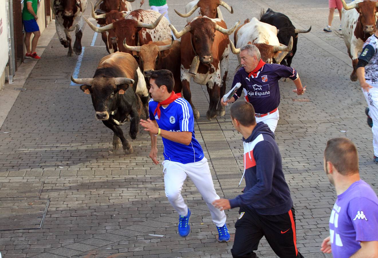 Hoy vecinos y visitantes pudieron disfrutar de una carrera completa y modélica, que resultó limpia y vibrante de principio a fin