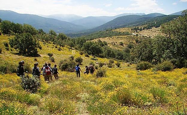 Participantes en una ruta por el cerro de Matabueyes.