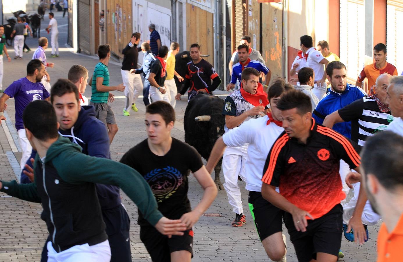 Los toros de la ganadería de Lagunajanada, protagonizaron momentos emocionantes y peligrosos en las calles, al entrar toda la manada disgregada