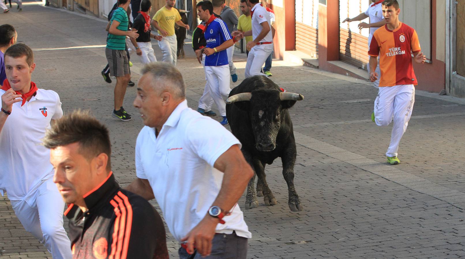 Los toros de la ganadería de Lagunajanada, protagonizaron momentos emocionantes y peligrosos en las calles, al entrar toda la manada disgregada