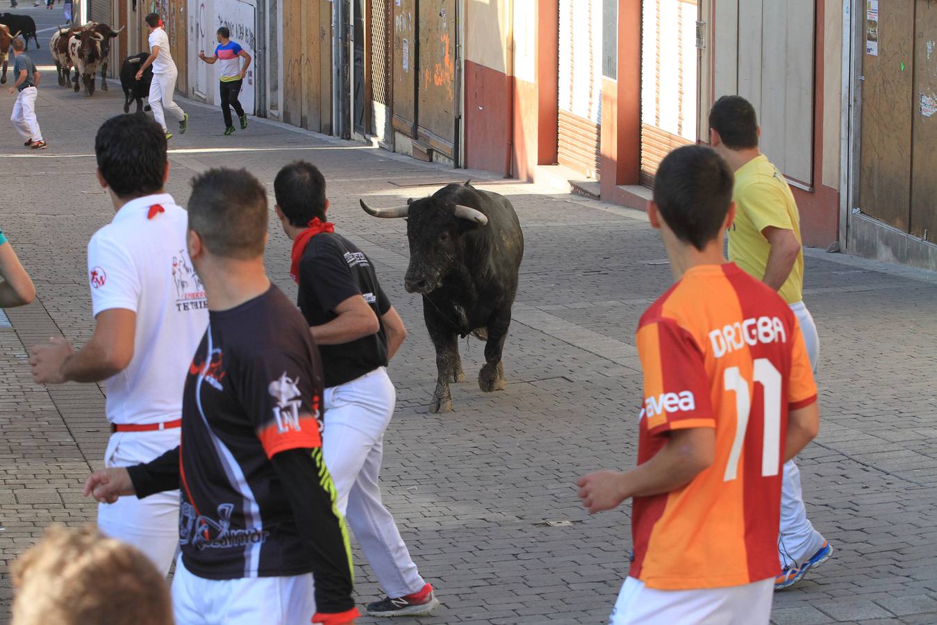 Los toros de la ganadería de Lagunajanada, protagonizaron momentos emocionantes y peligrosos en las calles, al entrar toda la manada disgregada
