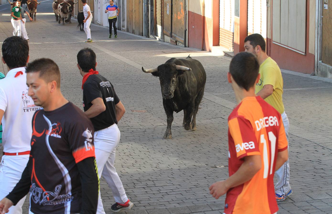 Los toros de la ganadería de Lagunajanada, protagonizaron momentos emocionantes y peligrosos en las calles, al entrar toda la manada disgregada