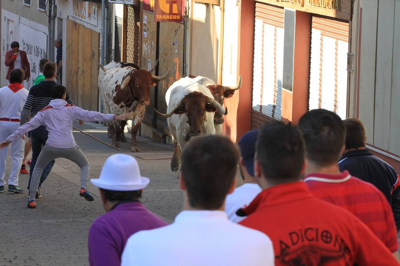 Los toros de la ganadería de Lagunajanada, protagonizaron momentos emocionantes y peligrosos en las calles, al entrar toda la manada disgregada