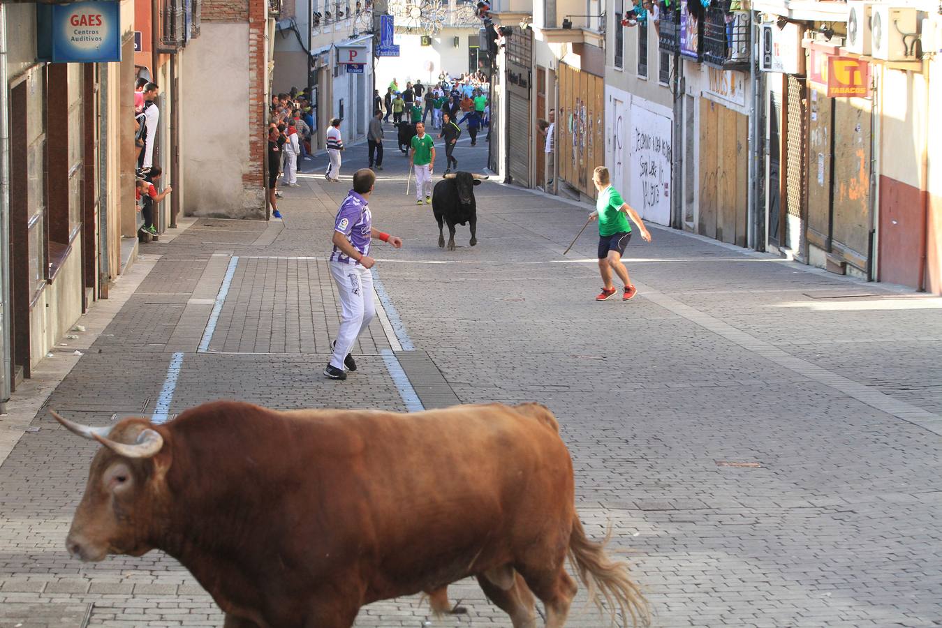 Los toros de la ganadería de Lagunajanada, protagonizaron momentos emocionantes y peligrosos en las calles, al entrar toda la manada disgregada