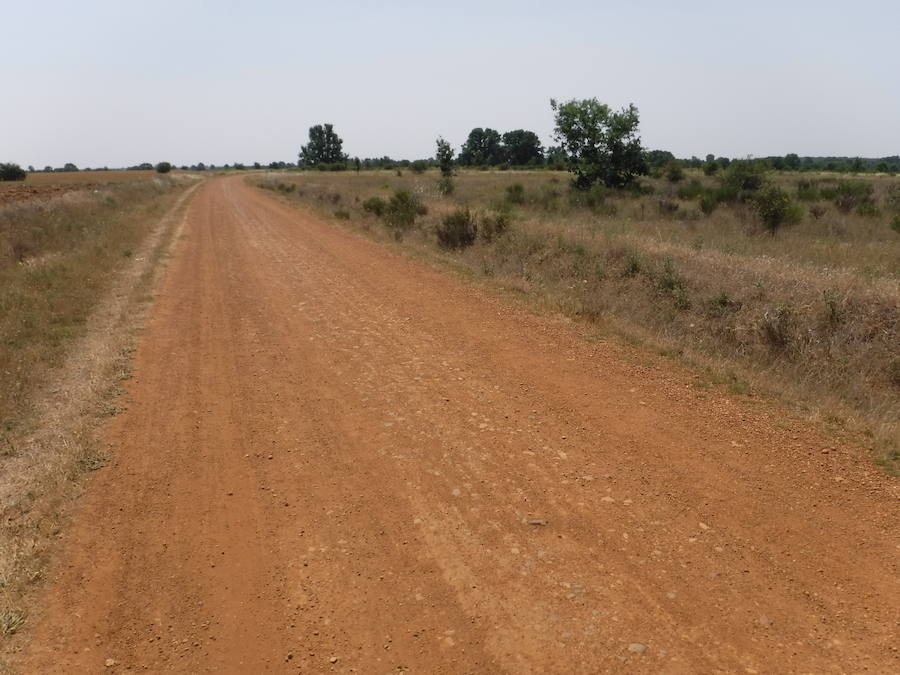 Imagen secundaria 1 - De arriba a abajo.. Entrada al albergue de Jesús, en Villar de Mazarife. Camino entre Fresno y Oncina de la Valdoncina y bifurcación entre el Camino francés y la Ruta alternativa a la altura de La Virgen del Camino 