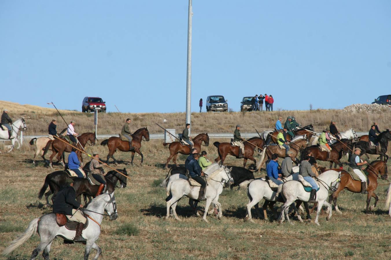 Los primeros novillos entraron en el coso taurino tras un recorrido de apenas dos minutos
