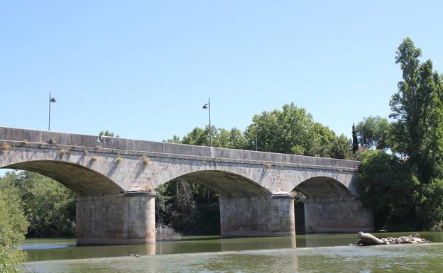 Puente de Tudela de Duero