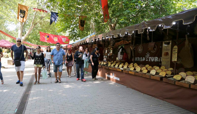 Mercado medieval de San Antolín en el parque del Sotillo