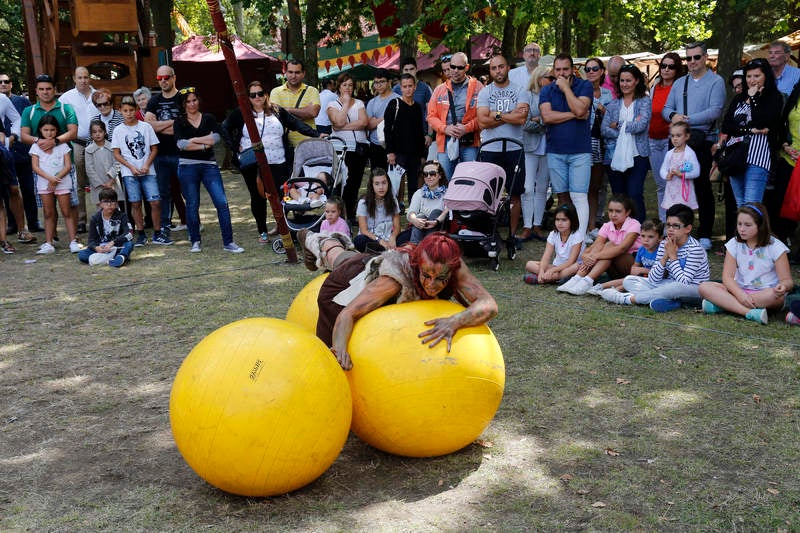 Mercado medieval de San Antolín en el parque del Sotillo