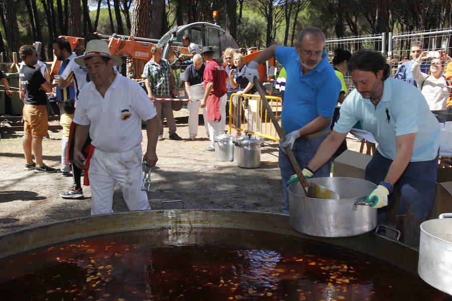 Día de las Peñas en laguna de Duero