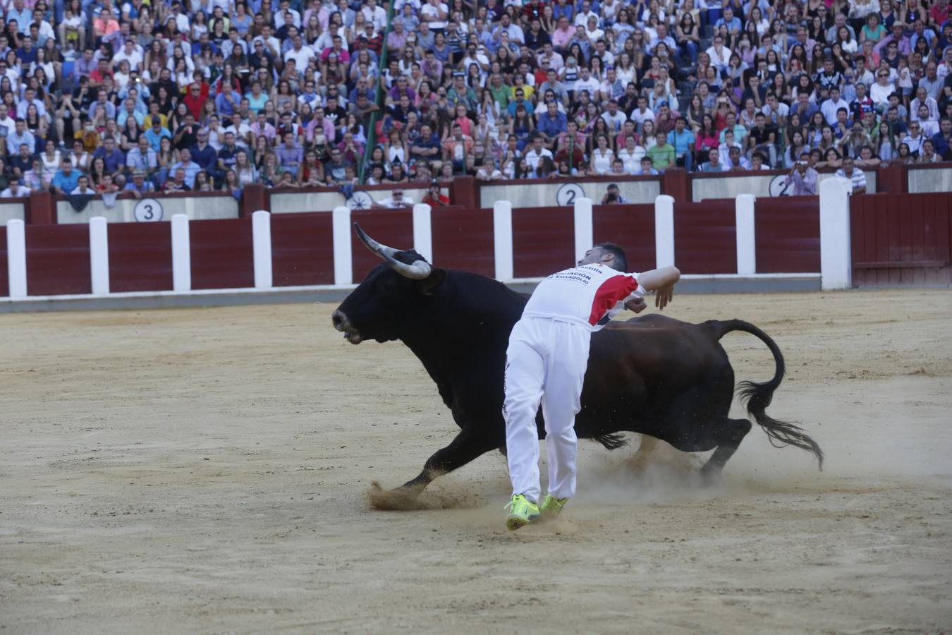 Pablo Martín &#039;Guindi&#039; gana la Liga del Corte Puro