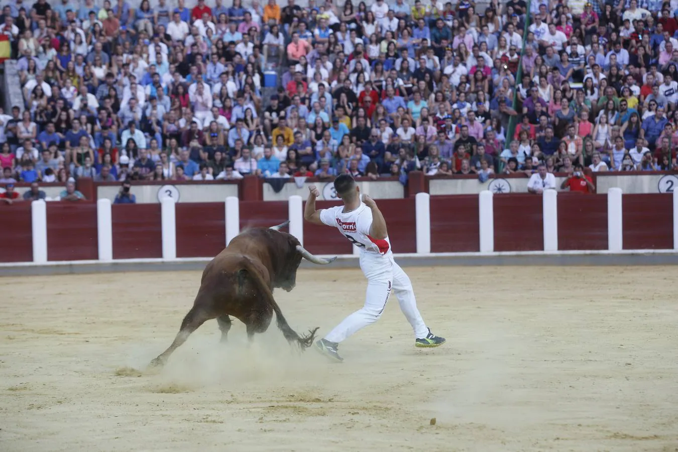 Pablo Martín &#039;Guindi&#039; gana la Liga del Corte Puro