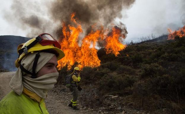 Más de 10.000 hectáreas se han quemado en el incendio de La Cabrera, en León.